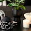 Varigated Rubber Plant in Ceramic Pot, 22"