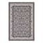 (D625) Grey Barnes Traditional Area Rug, 4x6
