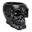 Spellbound Black Skull Outdoor Planter, 19"