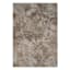 (A540) Diaz Beige Floral Area Rug,  8x10