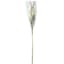 Natural Cob Stem, 80"