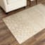 (B906) Neutral Abstract Animal Area Rug, 3x5