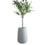 Japi Off-White Bios Tall Outdoor Planter, Small