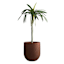 Japi Rust Rustic Cask Outdoor Planter, Medium