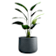 Japi Grey Lagoon Outdoor Planter, Large