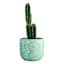 Sunny Club Daisy Green Outdoor Planter, 9"