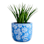 Sunny Club Daisy Blue Outdoor Planter, 7.5"