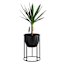 Nala Black Planter Stand, Small