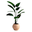 Terra Onyx Outdoor Planter, Small