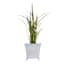 Providence White Metal Outdoor Planter, Medium