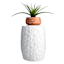 Crosby St. White Ceramic Stool, 13"