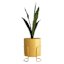 Sunny Club Yellow Planter Stand, 8"