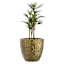 Honeybloom Bloom Outdoor Planter, Medium