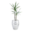 Silver Ridge Outdoor Planter, Medium