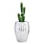 Silver Ridge Outdoor Planter, Small