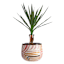 Indoor Nina Planter, Large