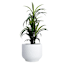 Found & Fable Indoor Dana Stoneware Planter, Medium