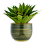 Alana Green Ceramic Outdoor Planter, Medium
