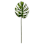 Variegated Monstera Leaf, 27"
