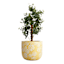 Sunny Club Yellow Daisy Outdoor Planter, 14"