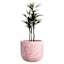 Sunny Club Daisy Pink Outdoor Planter, 12"