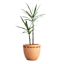 Terracotta Rope Outdoor Planter, Large
