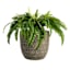 Grey Patterned Outdoor Planter, Small