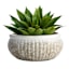 Found & Fable Abasi Outdoor Planter, Large