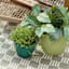 Honeybloom Seafoam Capri Outdoor Planter, Small