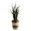 Anisa Brown & White Outdoor Planter, Medium