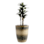 Anisa Brown & White Outdoor Planter, Small