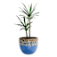 Blue Kalia Ceramic Outdoor Planter, Large