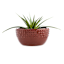 Briar Brown Ceramic Outdoor Planter, Small