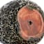 Black Lava Ceramic Outdoor Planter, Medium