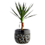 Black Lava Ceramic Outdoor Planter, Medium