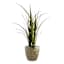 Honeybloom Bloom Outdoor Planter, Small