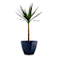 Millie Blue Outdoor Planter, Small