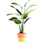 Oh Joy! Yellow Egg Outdoor Planter, 13"