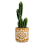 Honeybloom Indoor Yellow Embossed Flower Planter, 7"