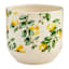 Providence Indoor Lemon Planter, 6"