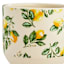 Providence Indoor Lemon Planter, 6"
