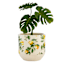 Providence Indoor Lemon Planter, 6"