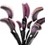 Grim Gardens Venus Fly Trap Stem, 11"