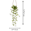 Hanging Plants In Moon Ceramic Pot
