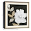 Glass Framed Floral Print Wall Art, 19"