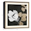 Glass Framed Floral Print Wall Art, 19"
