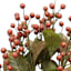 Combo Berry Bush X12