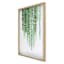 Framed Hanging Greenery Print Under Glass, 18x24
