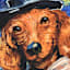 Dog Starry Night Canvas Wall Art, 16"