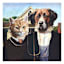 Dog & Cat Canvas Wall Art, 16"